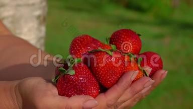 满是<strong>红红</strong>的、令人垂涎三尺的草莓的雌手全景